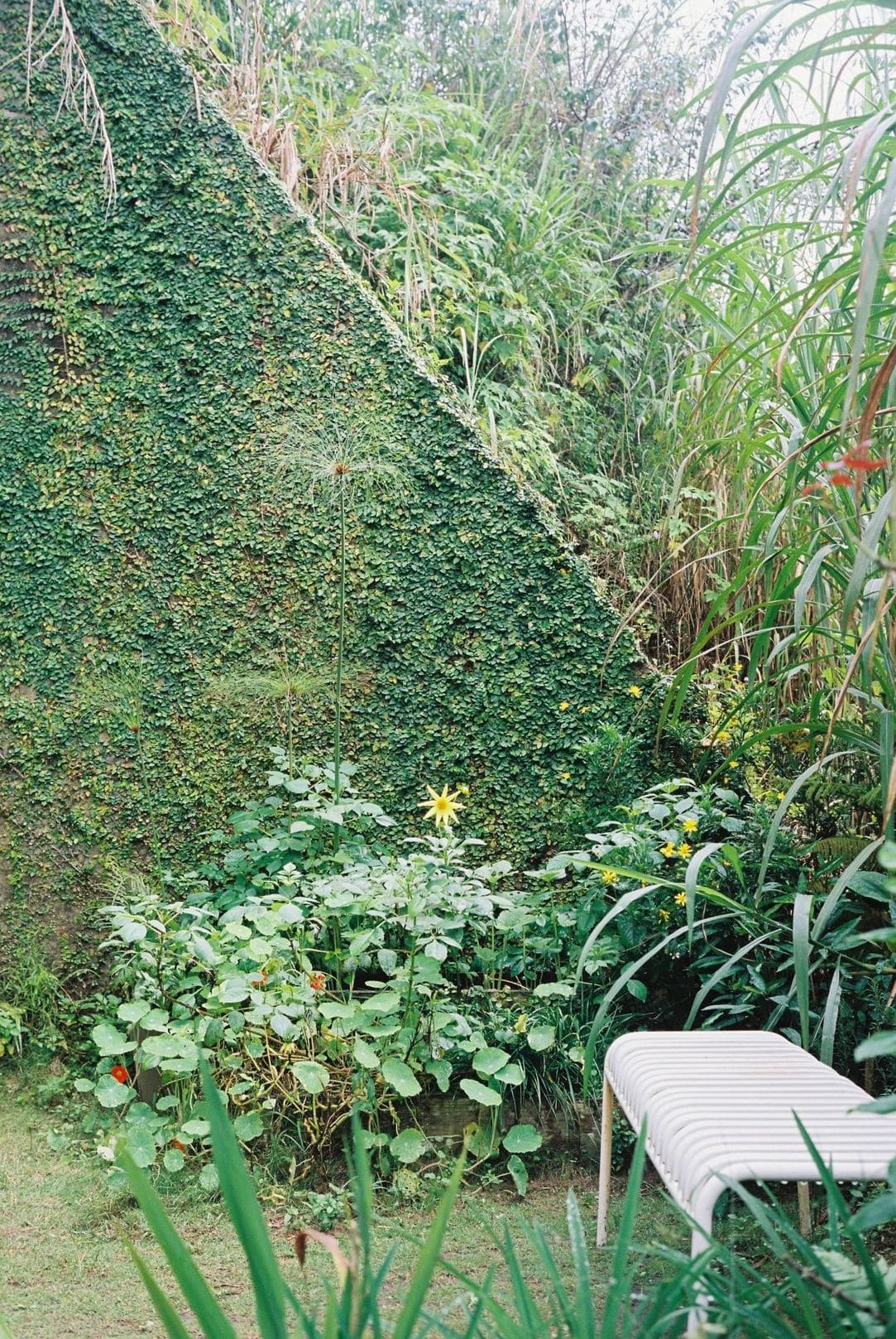 How to Keep Garden Beds Looking Neat All Season