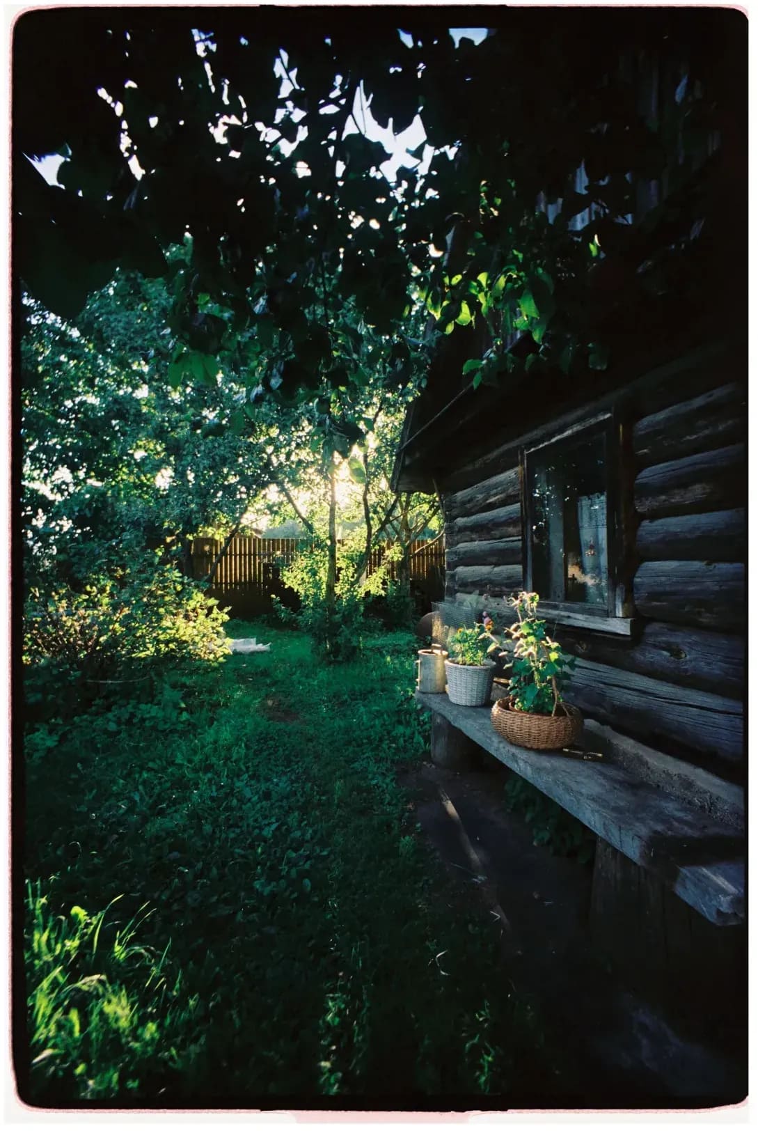 Maple Ridge Garden Services 6