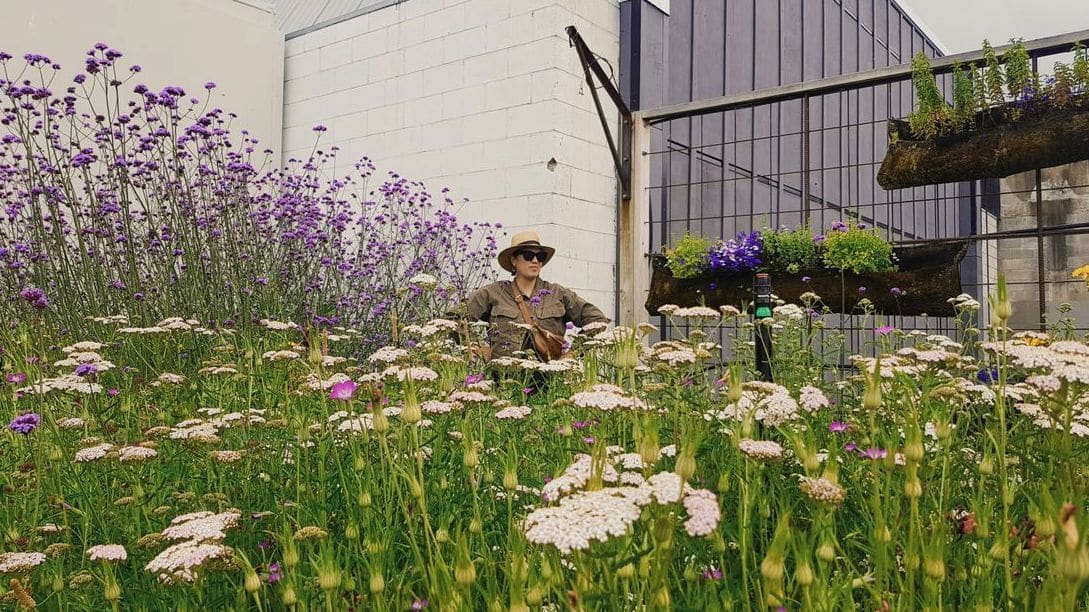 Garden maintenance