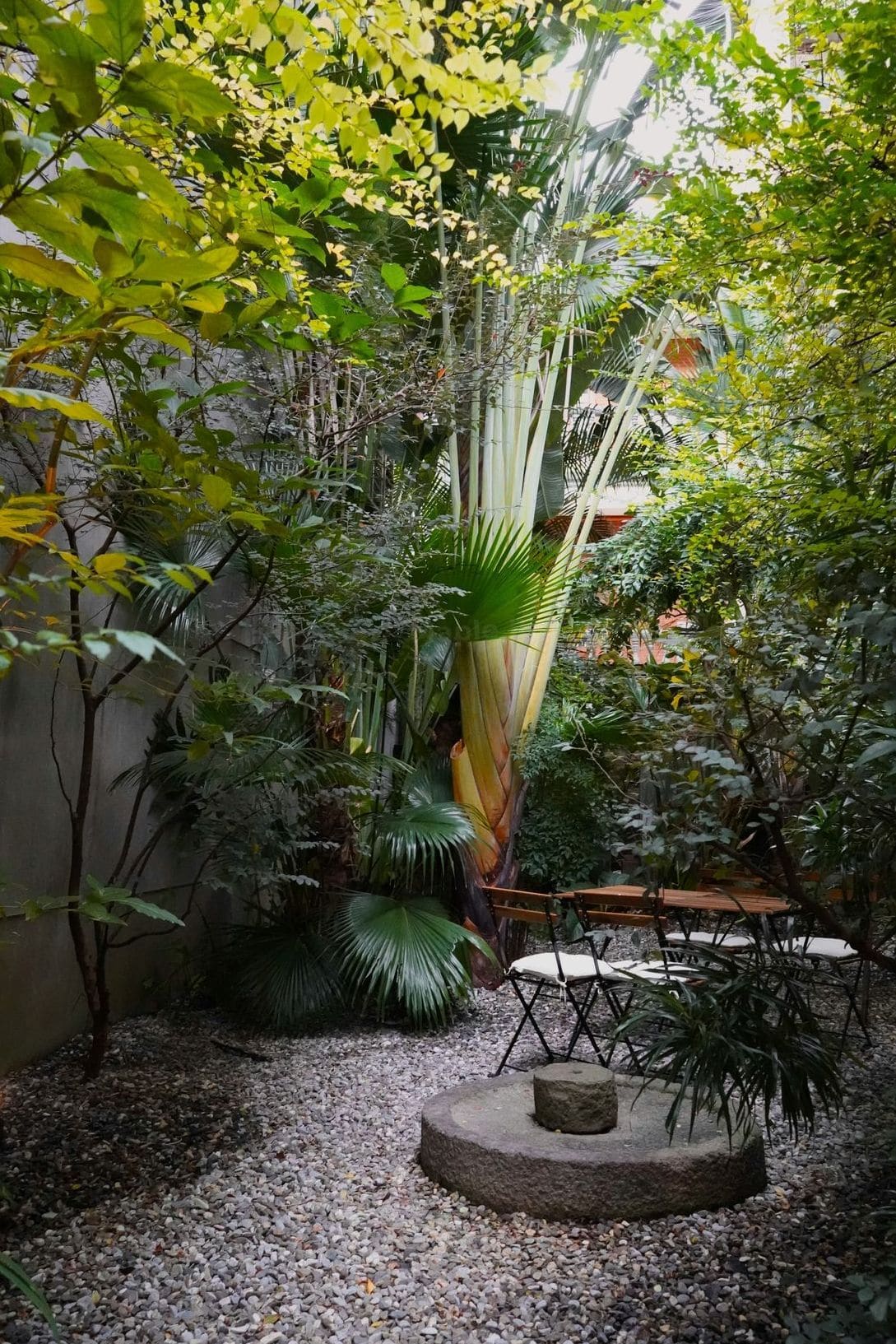 Container and patio garden care